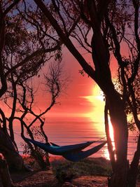 Silhouette tree against sea during sunset