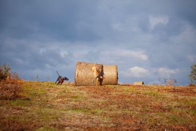 Old ruin on field against sky