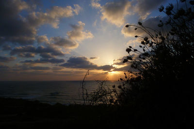 Scenic view of sunset over sea