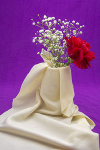 Close-up of white rose flower vase on table