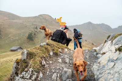 People with dogs on mountain against sky