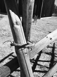 Close-up of wooden post