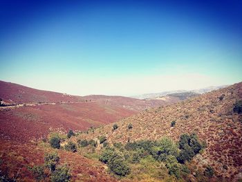 Scenic view of landscape against clear sky