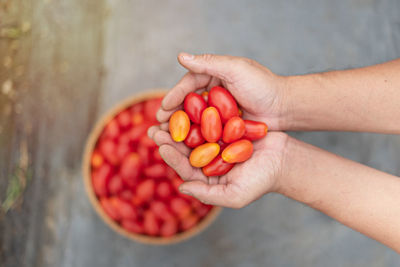 Cropped image of hand holding strawberries