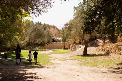 Rear view of people walking on footpath amidst trees