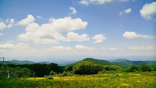 Landscape with mountain range in background