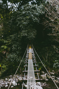 Railroad tracks amidst trees in forest