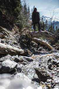 Rear view of person walking on rock in forest