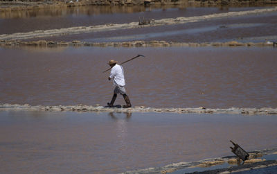 Farmer working in farm