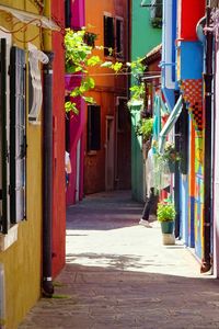 Alley amidst houses in city