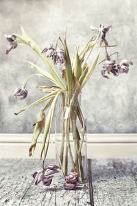 Close-up of wilted flower on table