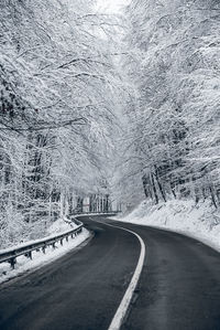 Road amidst snow covered trees