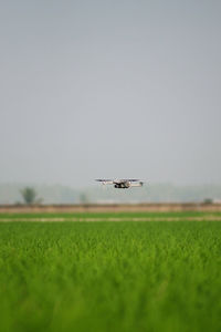 Airplane flying over grassy field against sky