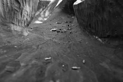 High angle view of water drops on puddle