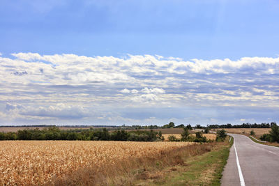 Road amidst agricultural field against sky