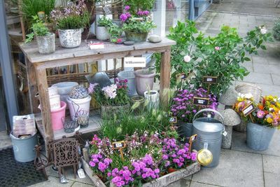 High angle view of potted plants