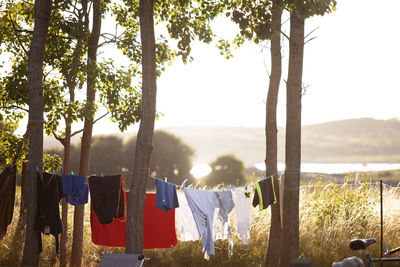 Clothes drying on wooden post against trees