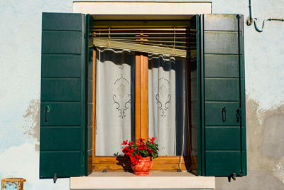 Potted plants on window of building