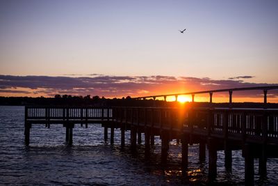 Silhouette birds flying over sea against sky during sunset