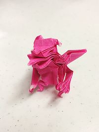 Close-up of pink rose against white background