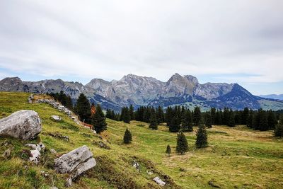 Scenic view of landscape and mountains against sky