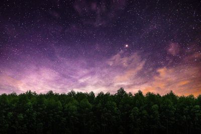 Scenic view of trees against star field