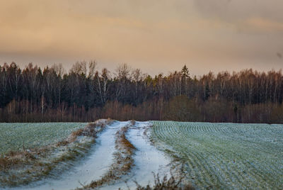 A beautiful winter morning landscape with a gravel road. bright, extra colorful scenery.