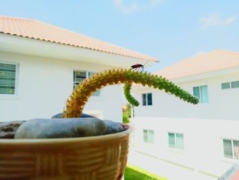 Close-up of house against sky