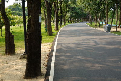 Road amidst trees in park