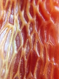 Full frame shot of fruit