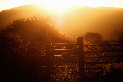 Fence by trees against sky during sunset