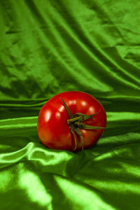 High angle view of tomatoes on leaf