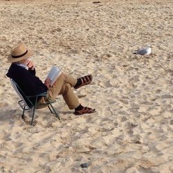 Full length of man reading book at beach by seagull at beach