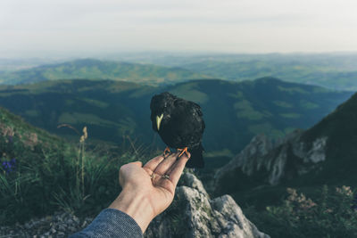 Close-up of hand holding crow against mountain range