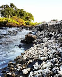 Scenic view of river