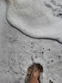 Low section of person on beach