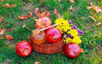 High angle view of fruits and honey on grass