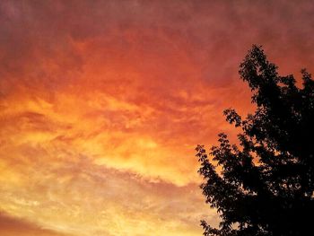 Silhouette tree against dramatic sky during sunset