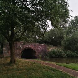 Arch bridge by trees against sky