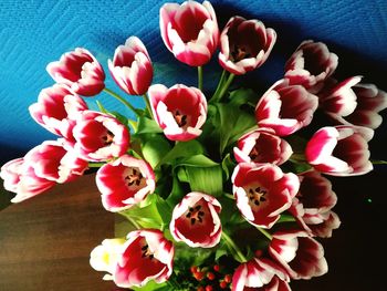 High angle view of pink flowers on table