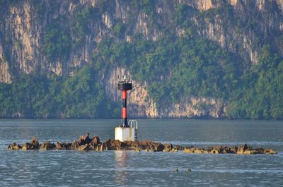 View of birds on the sea