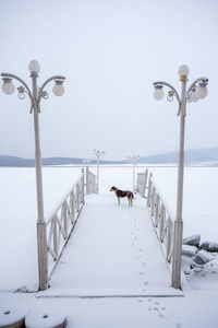 View of street light on snow covered landscape