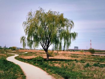 Empty road passing through field