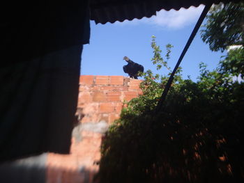 Low angle view of bird perching on roof against sky