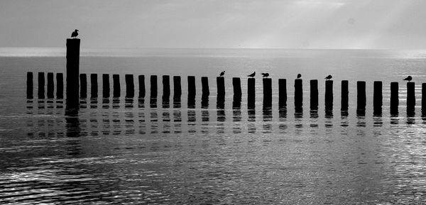 Wooden posts on beach against sky