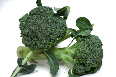 Close-up of broccoli against white background