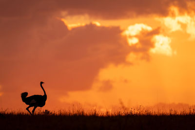 Scenic view of field against sky during sunset