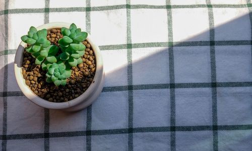 High angle view of dessert on table