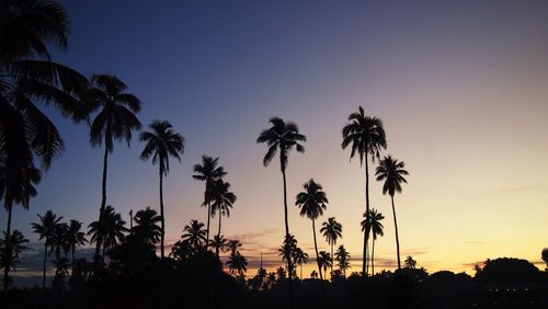 Low angle view of silhouette palm trees growing against sky during sunset