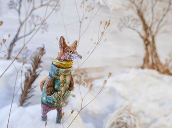 Close-up of animal on snow covered tree